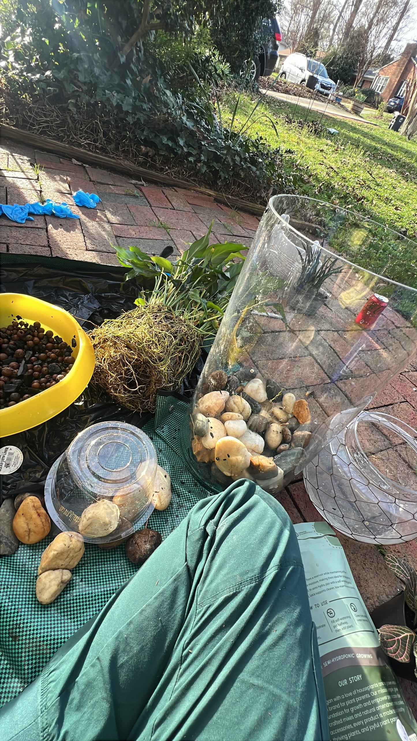 In-home Plant Re-Potting Consultation (Local)