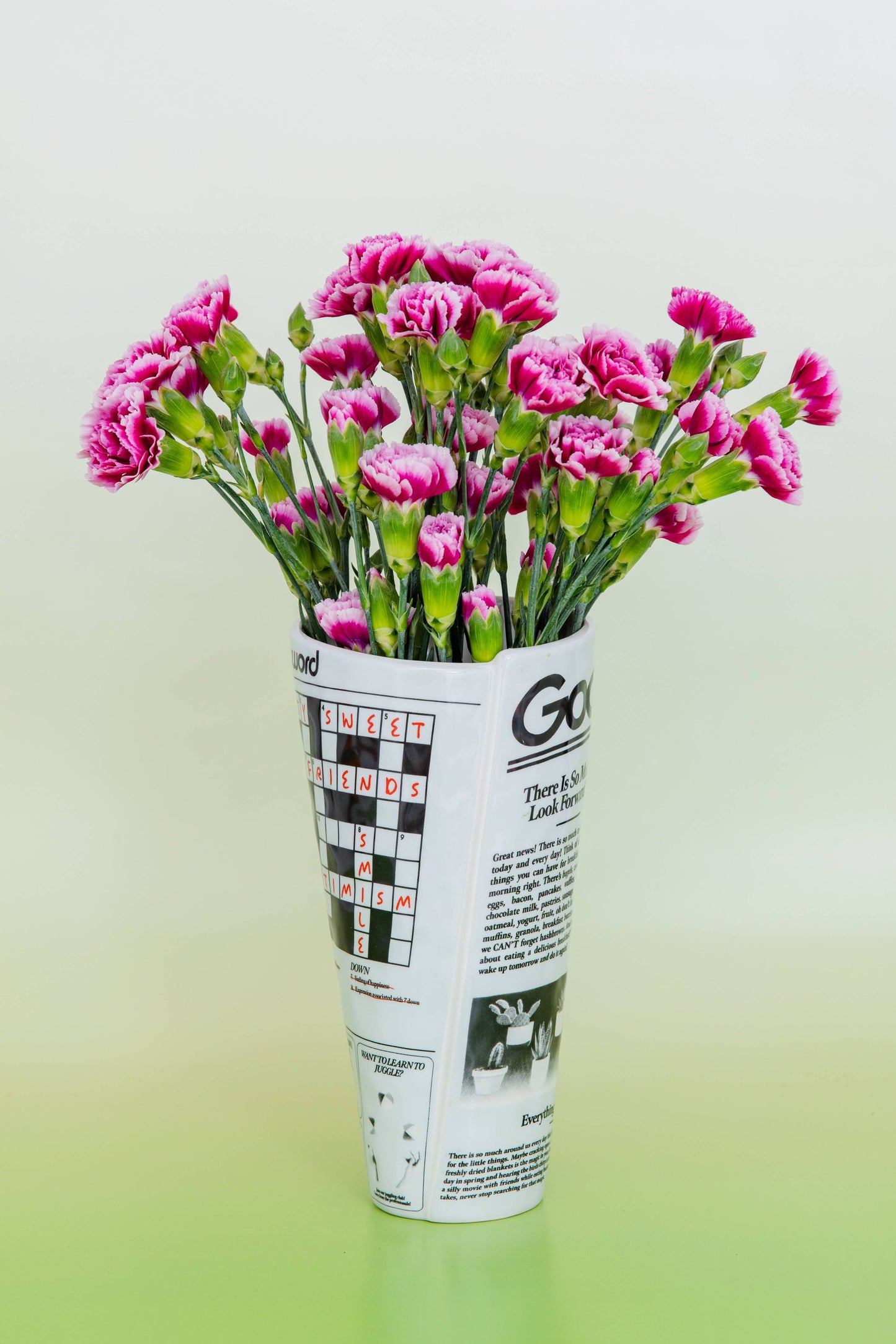 Vase, Newspaper
